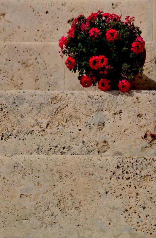 B&B Casale Fonte Vecchia Monteprandone Εξωτερικό φωτογραφία