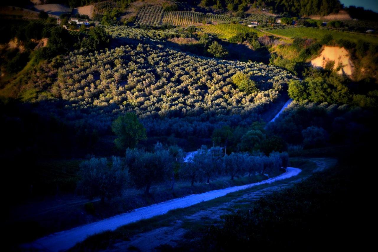 B&B Casale Fonte Vecchia Monteprandone Εξωτερικό φωτογραφία