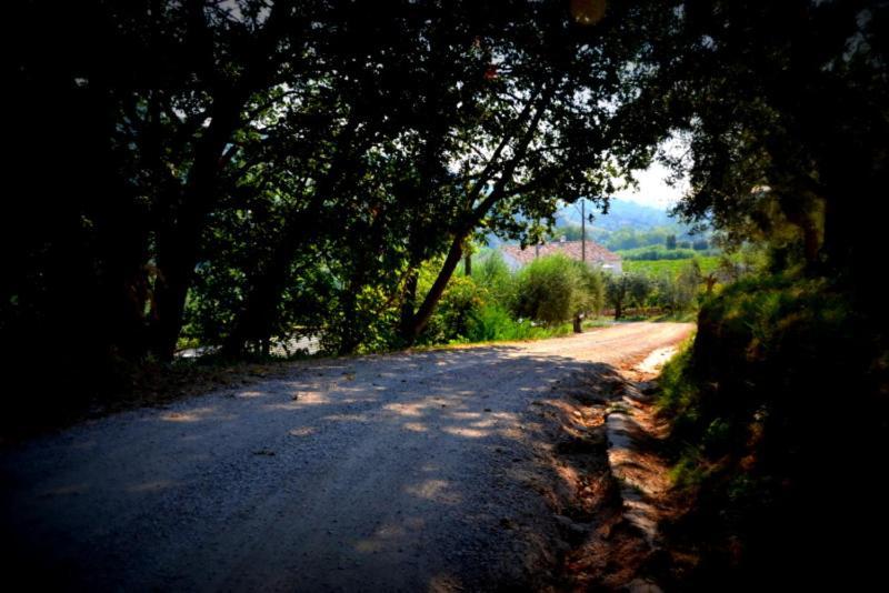 B&B Casale Fonte Vecchia Monteprandone Εξωτερικό φωτογραφία